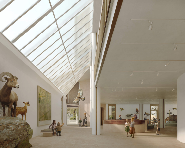 Naturmuseum 3